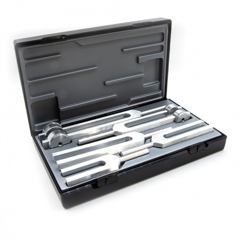 Riester Besteck III отоларингологический набор камертонов из алюминия, 5 шт