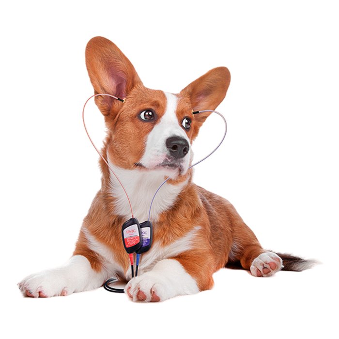 Компьютерный аудиометр для ветеринарии Нейро-АудиоВ