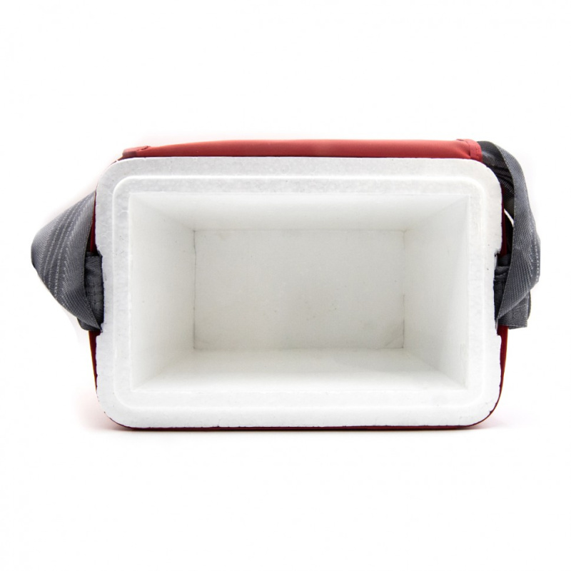 Термоконтейнер переносной для кратковременного хранения крови и кровезаменителей и биопрепаратов ТМ - "МОКА" ТМ4