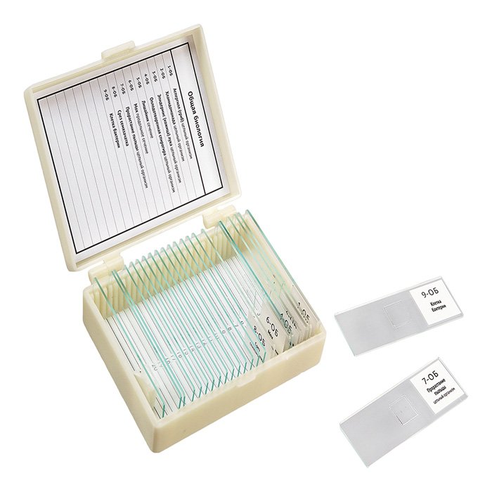 Набор препаратов "Общая биология" (9 обр. для школы)