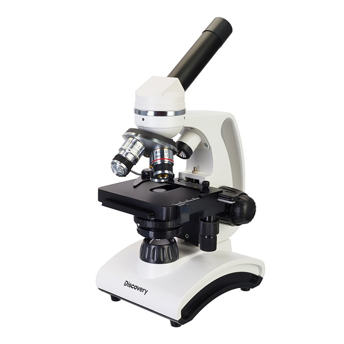 Микроскоп Levenhuk Discovery Atto Polar с книгой