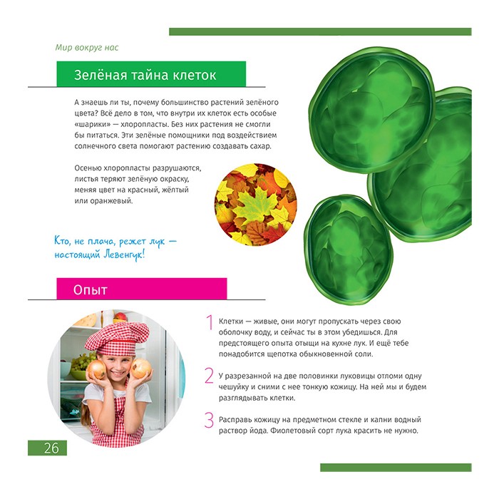 Микроскоп Levenhuk Discovery Femto Polar с книгой