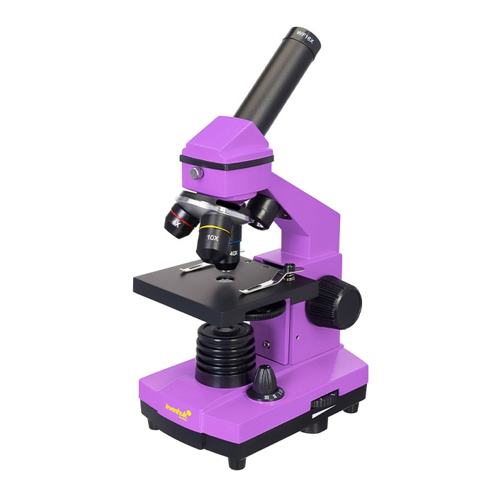 Микроскоп Levenhuk Rainbow 2L PLUS