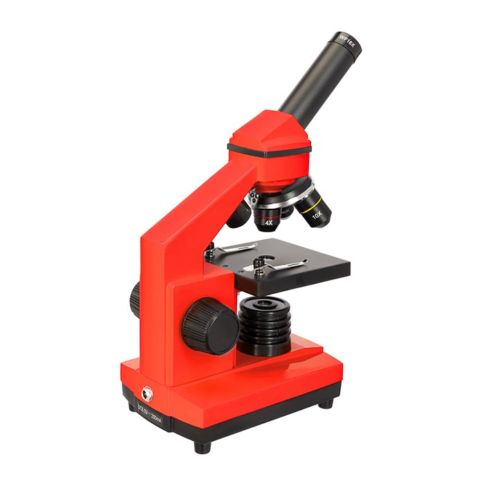 Микроскоп Levenhuk Rainbow 2L PLUS