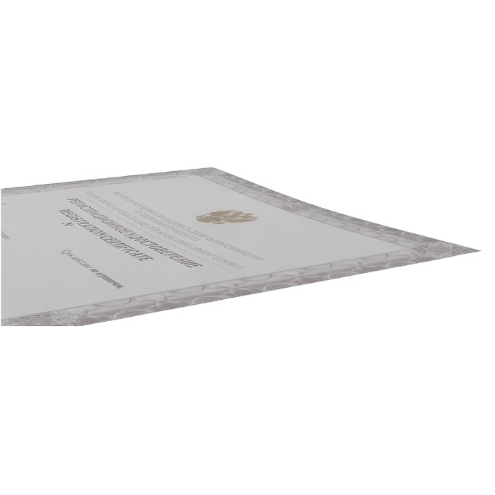 Передвижной подъемник для инвалидов Veara Flamingo