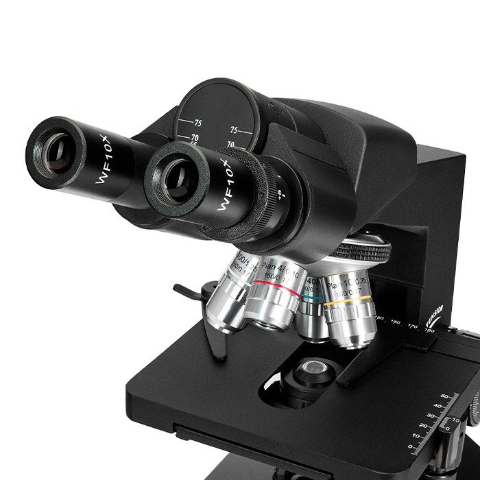 Микроскоп бинокулярный Levenhuk 890B