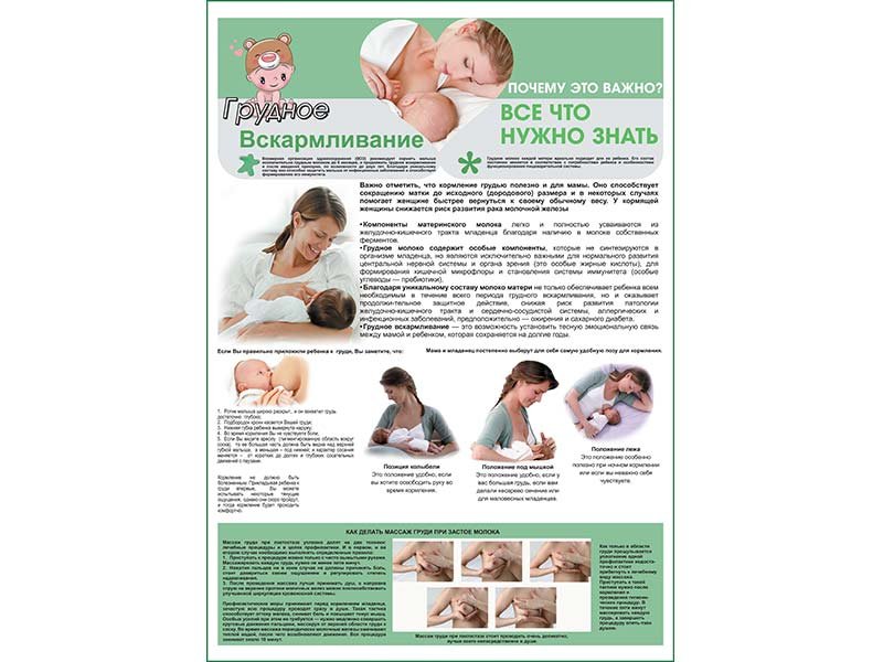 OLD Грудное вскармливание плакат глянцевый А1/А2 (глянцевый A2)