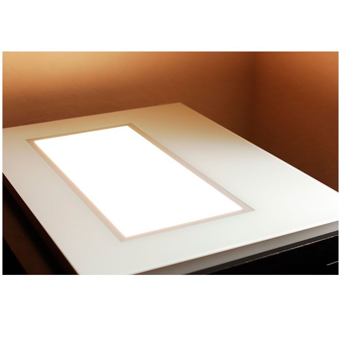 Стол инспекционный для контроля филе рыбы