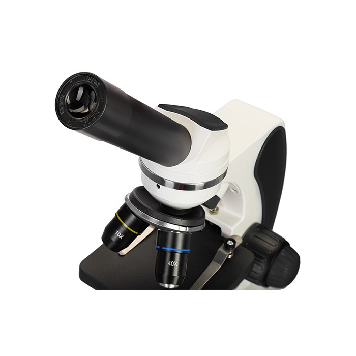 Микроскоп Levenhuk Discovery Pico с книгой