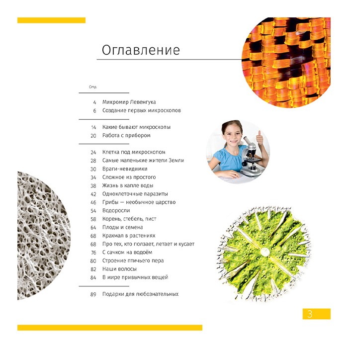 Микроскоп Levenhuk Discovery Femto Polar с книгой