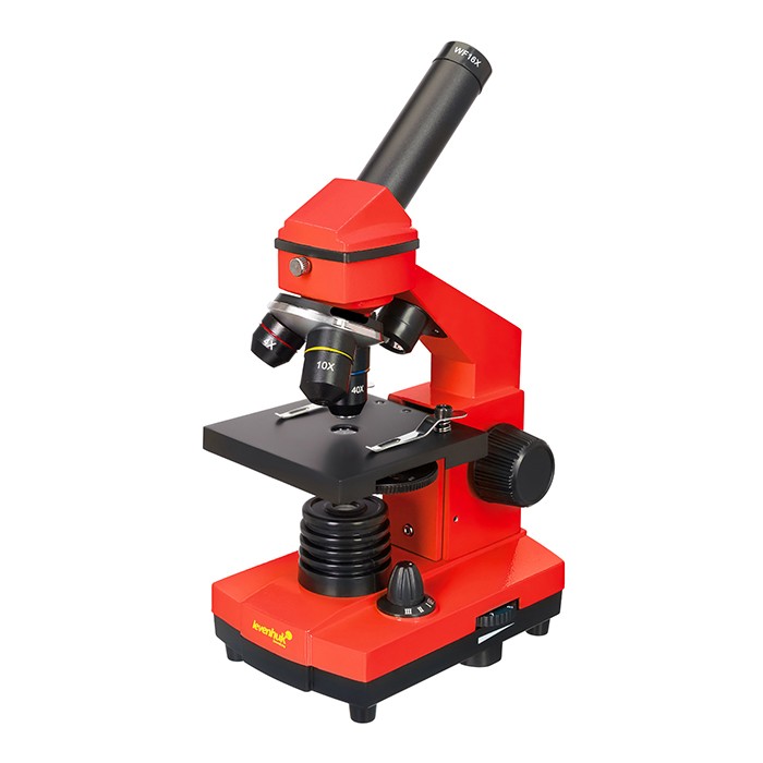 Микроскоп Levenhuk Rainbow 2L PLUS