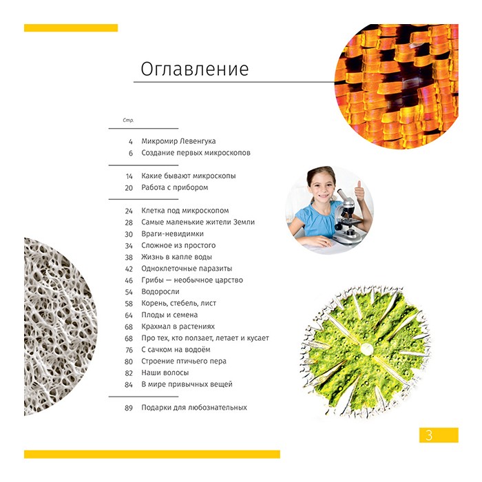 Микроскоп Levenhuk Discovery Nano с книгой