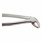 Щипцы для удаления молочных резцов нижней челюсти Ж38