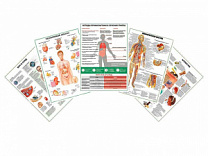 Комплект плакатов для кабинета аллерголога-иммунолога глянцевый А1/А2 (глянцевый A2)