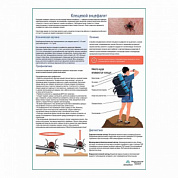 Клещевой энцефалит медицинский плакат А1+/A2+ (глянцевая фотобумага от 200 г/кв.м, размер A2+)