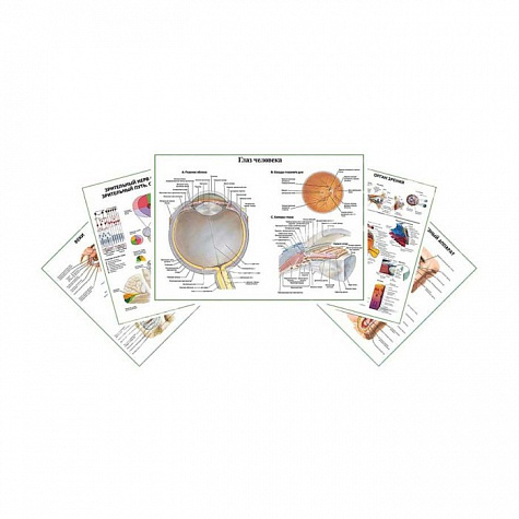 Комплект плакатов для кабинета офтальмолога глянцевый А1/А2 (глянцевый	A1)
