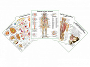 Комплект плакатов для кабинета невролога глянцевый А1/А2 (глянцевый A1)