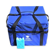 Термоконтейнер Т-25 XPS-НК-С в сумке чехле + хладоэлемент ХТЛ-3, 15 шт.