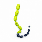 Орхидометр (тестикулометр) Прадера