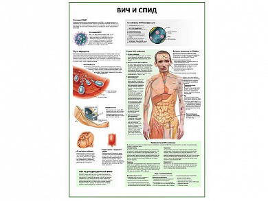 ВИЧ и СПИД плакат глянцевый А1/А2 (глянцевый A1)