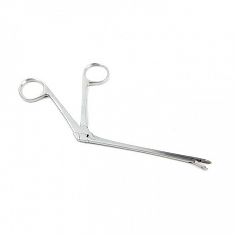 Конхотом с ложкообразными губками Sammar