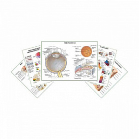 Комплект плакатов для кабинета офтальмолога глянцевый А1/А2 (глянцевый	A1)