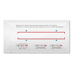 Тест одностадийный для иммунохроматографического определения ХГч в моче для ранней диагностики беременности (ХГч-Экспресс-ИХА), 2 шт/уп