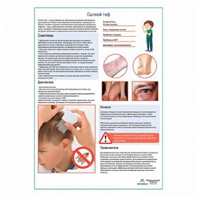 Сыпной тиф медицинский плакат А1+/A2+  (глянцевая фотобумага от 200 г/кв.м, размер A2+) Сыпной тиф медицинский плакат А1+/A2+  (глянцевая фотобумага от 200 г/кв.м, размер A2+)
