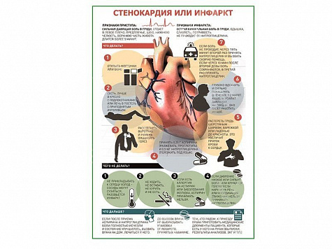 Стенокардия или инфаркт плакат глянцевый А1/А2 (глянцевый A2)