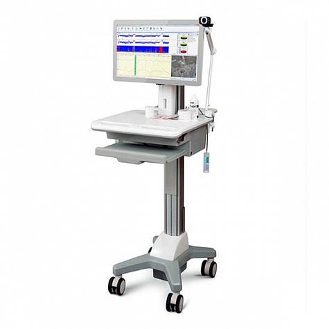 Нейромонитор, Нейрософт