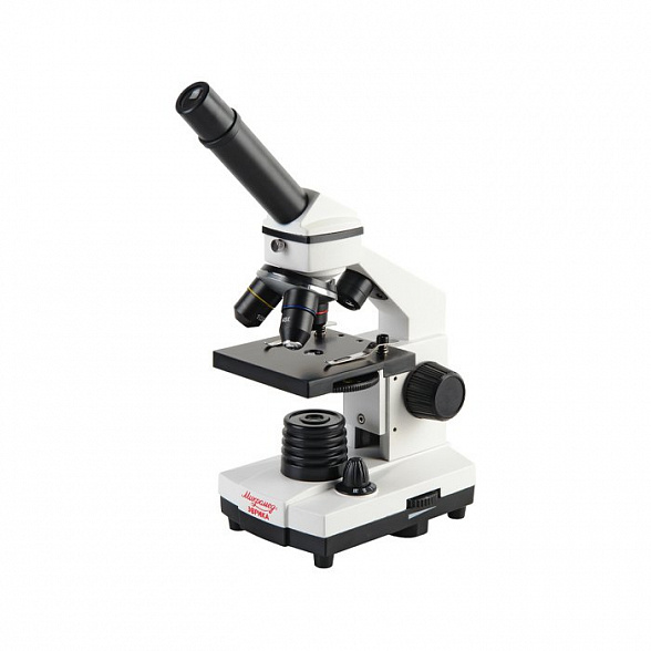 Микроскоп учебный Эврика 40х-1280х с видеоокуляром в кейсе