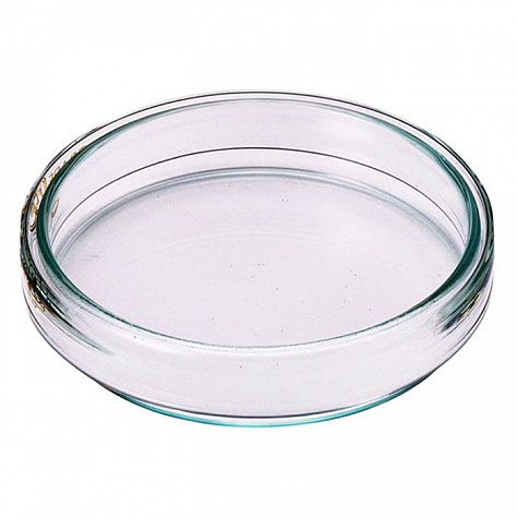 Чашка петри ЧБН-2 100x20 мм