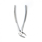 Щипцы для удаления молочных резцов нижней челюсти Ж38