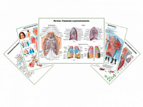 Комплект плакатов для кабинета пульмонолога глянцевый А1/А2 (глянцевый A2)