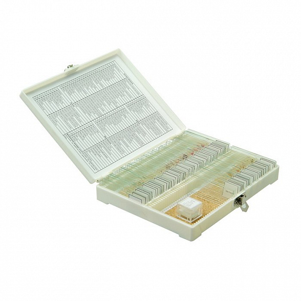 Набор готовых микропрепаратов Микромед № 80