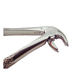 Щипцы для удаления моляров нижней челюсти Ж 22