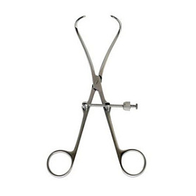 Костодержатель прямой Sammar