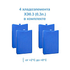 Термоконтейнер ТМ9 (9,8 литров)