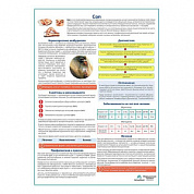 Сап медицинский плакат А1+/A2+ (глянцевый холст от 200 г/кв.м, размер A1+)