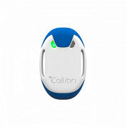 Система оценки состояния здоровья сердца Callibri HRV