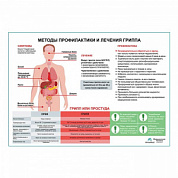 Грипп (горизонтальный) плакат глянцевый А1+/А2+ (матовый холст от 200 г/кв.м, размер A1+)