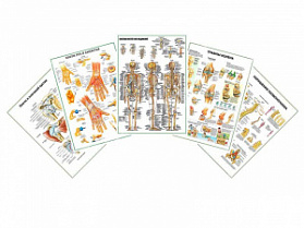 Комплект плакатов для кабинета травматолога и ортопеда глянцевый А1/А2 (глянцевый A2)