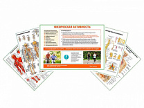 Комплект плакатов для кабинета врача-остеопата глянцевый А1/А2 (глянцевый A1)