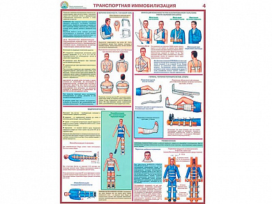 Транспортная иммобилизация, плакат глянцевый/ламинированный А1/А2 (глянцевый	A2)