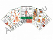 Комплект плакатов для кабинета аллерголога-иммунолога ламинированный А1/А2 (ламинированный	A2)