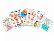Комплект плакатов для кабинета профпатолога глянцевый А1/А2 (глянцевый A2)