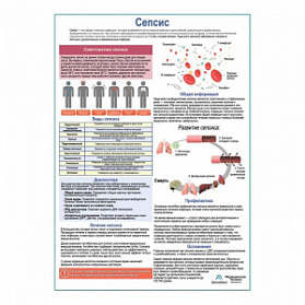 Сепсис, медицинский плакат А1+/А2+ (глянцевая фотобумага от 200 г/кв.м, размер A2+) Сепсис, медицинский плакат А1+/А2+ (глянцевая фотобумага от 200 г/кв.м, размер A2+)