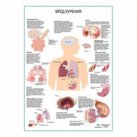 Вред курения плакат глянцевый А1+/А2+ (глянцевая фотобумага от 200 г/кв.м, размер A1+)