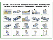 Основы правильного позиционирования и перемещения пациента с очаговыми поражениями головного мозга плакат глянцевый А1/А2 (глянцевый A2)