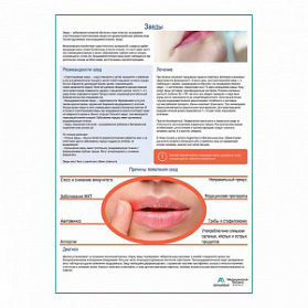 Заеды медицинский плакат А1+/A2+ (глянцевая фотобумага от 200 г/кв.м, размер A2+) Заеды медицинский плакат А1+/A2+ (глянцевая фотобумага от 200 г/кв.м, размер A2+)